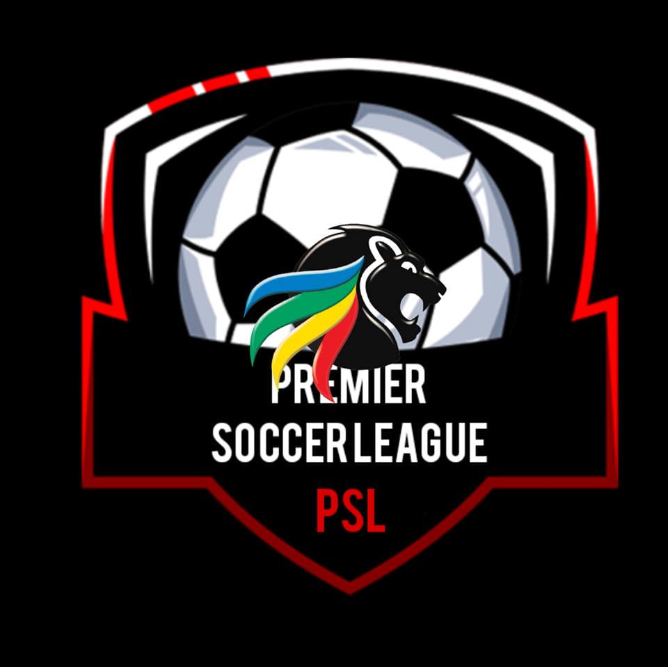 Güney Afrika PSL (Premier Futbol Ligi)
